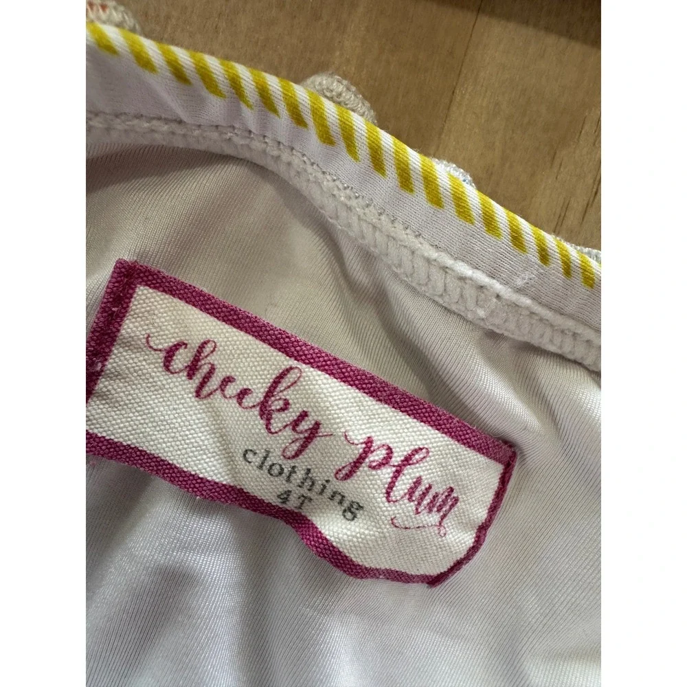 Cheeky Plum 4T Rainbow Stripe Ruffle Bikini Cottagecore Beach Girl Swimwear Cute